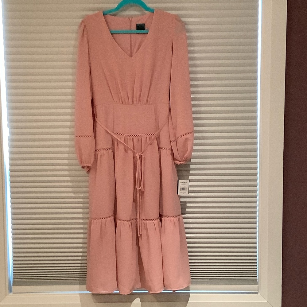 Gabby Skye Blush Long Sleeve Dress